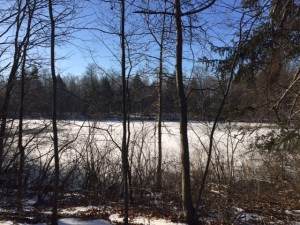 41 Acres Dragonfly Pond